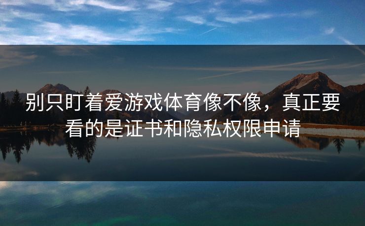 别只盯着爱游戏体育像不像，真正要看的是证书和隐私权限申请
